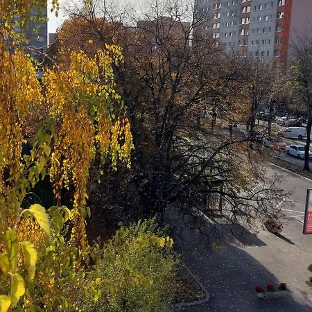 Central Panorama Targu Mures Exterior photo