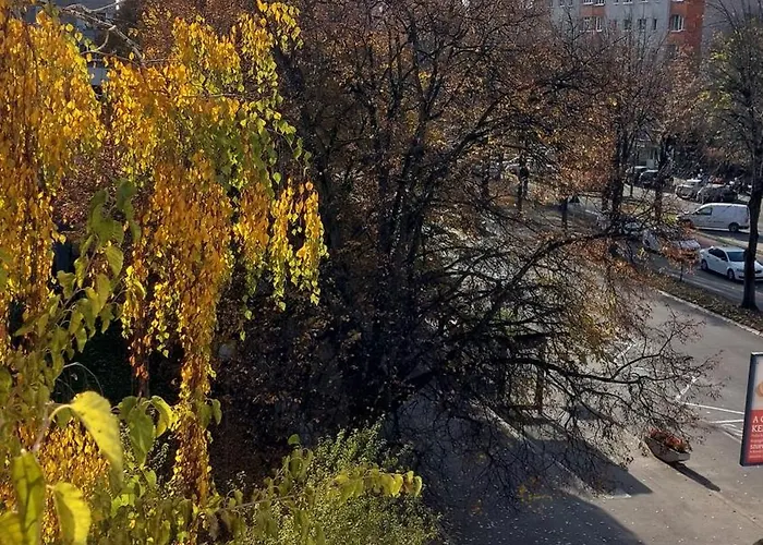 Central Panorama