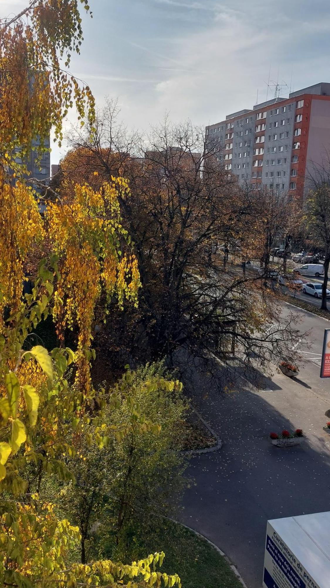 Panorama